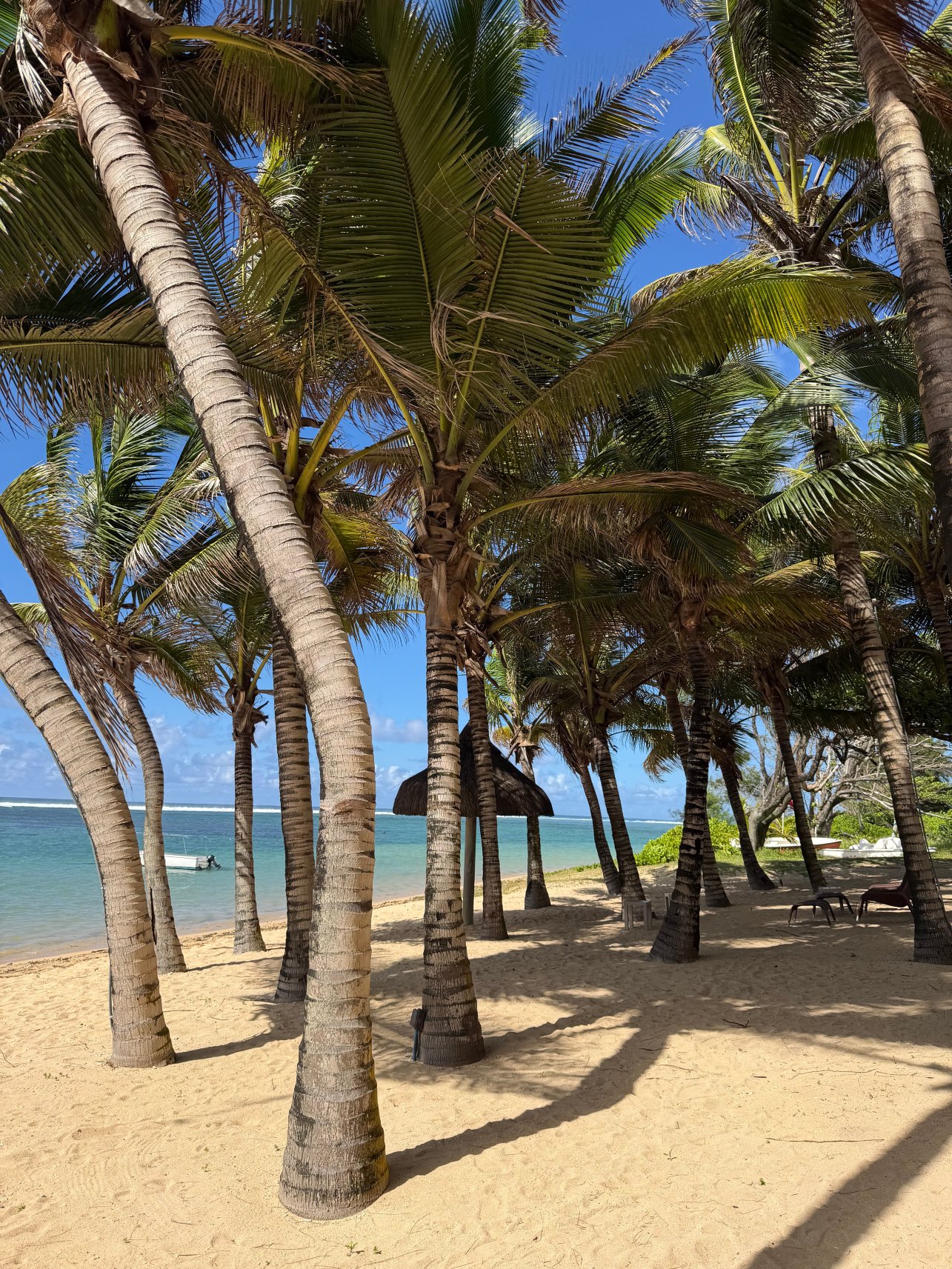 毛里求斯索菲特特色酒店-官方