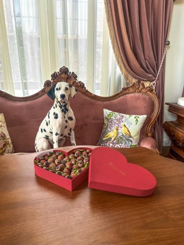 布里斯托尔酒店-浴室