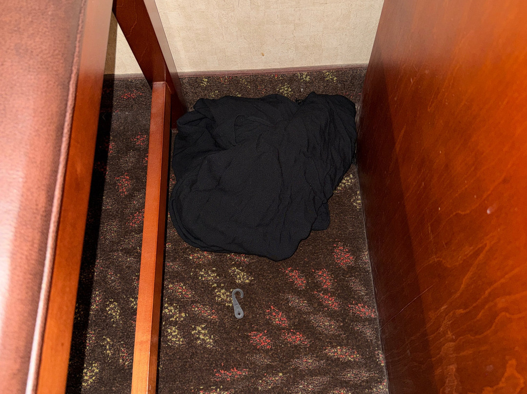 弗兰肯默斯智选假日酒店主图