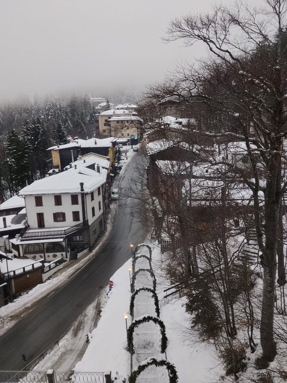 贝拉维斯塔酒店-官方