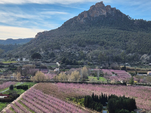 圣塞瓦斯蒂安酒店主图
