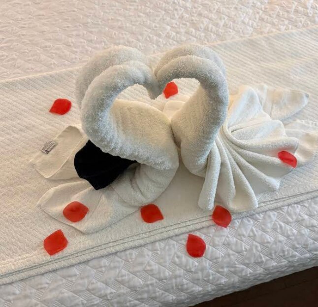 卡罗尔别墅酒店-客卧