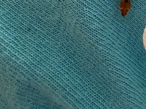 格林维尔德鲁里套房酒店主图