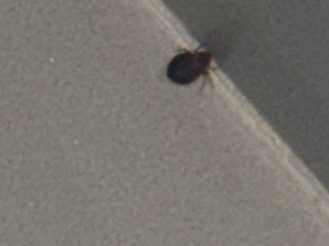 波尼恩特万瓜达拉哈拉佩里费利科酒店主图