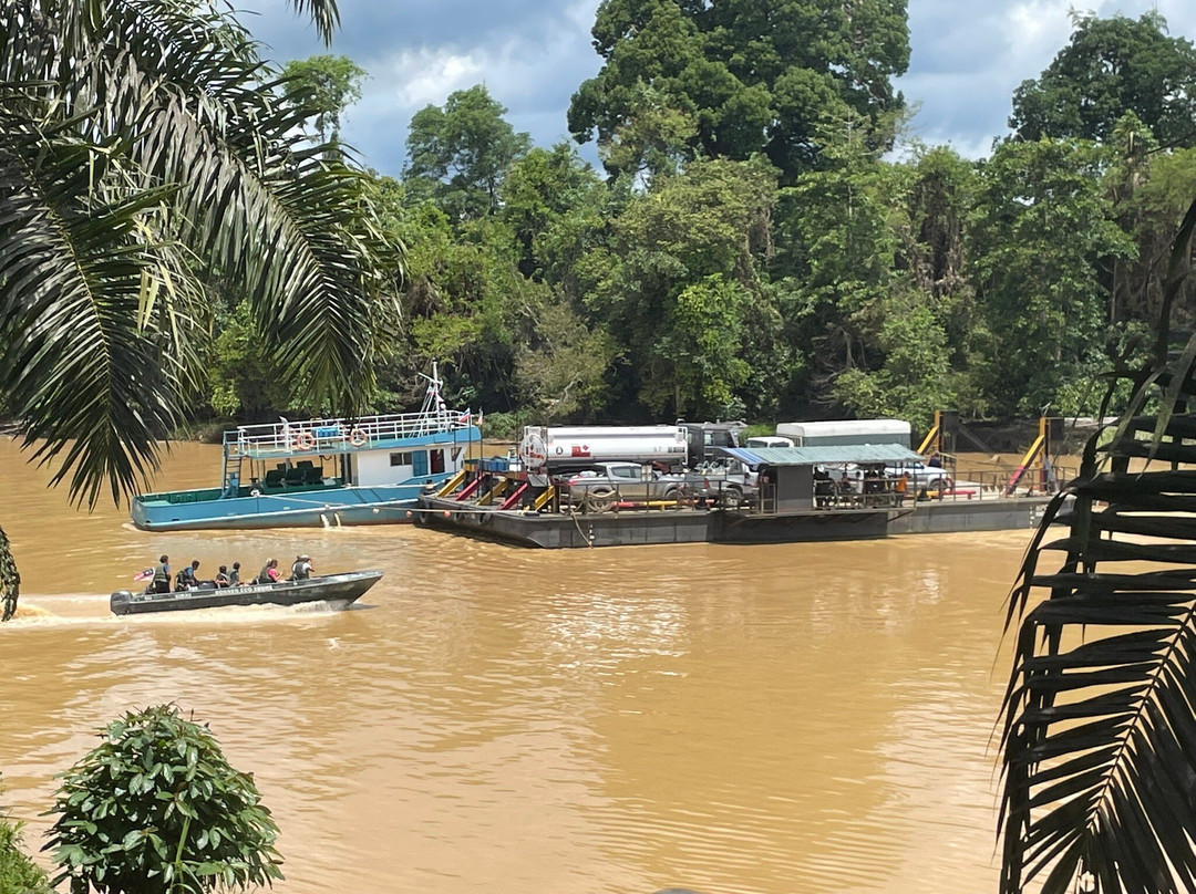 Sukau River Homestay主图