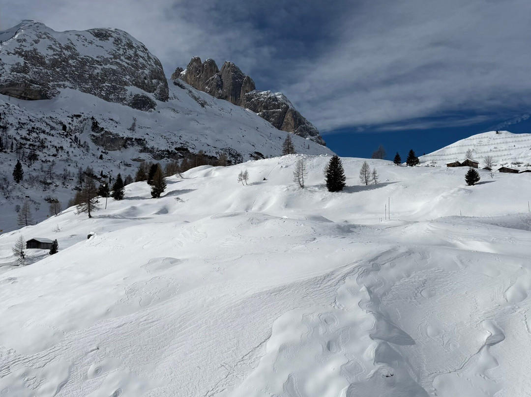 Scuola Sci & Snowboard Marmolada-Malga Ciapela必去景点