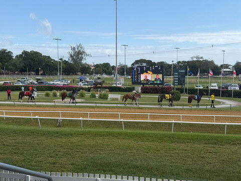 Garrison Savannah - Barbados Turf Club-布里奇顿必去景点