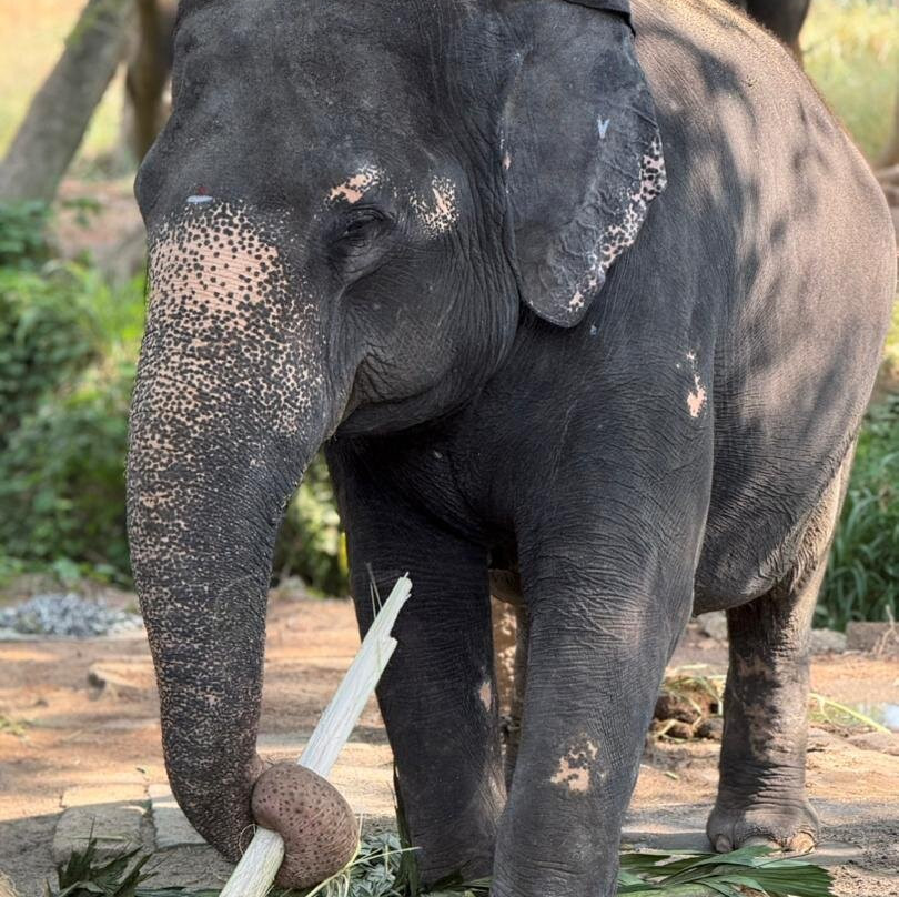 S.P. Holidays Pvt Ltd-新德里必去景点