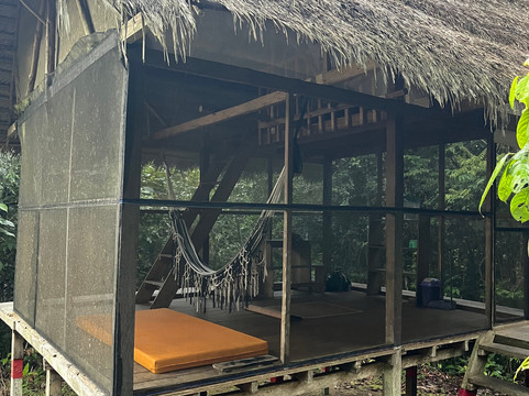 Psychonauta Foundation-伊基托斯必去景点