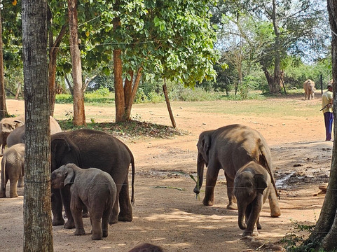 Sri Lanka Tour Guides-Gonapola必去景点