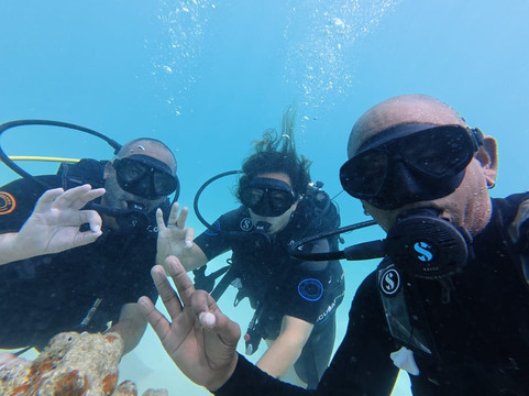 Scuba World Diving Mauritius-马喜埔必去景点