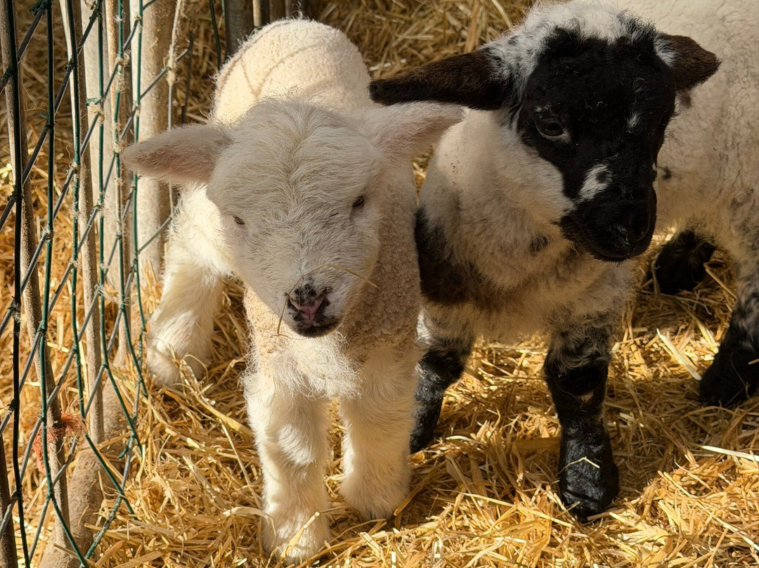 Coastline-Tours- Day Tours-丁格尔必去景点