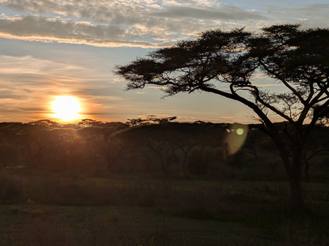 Serengeti Wakanda Tours & Safaris-阿鲁沙必去景点