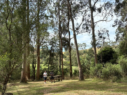Agnes Falls-Hazel Park必去景点