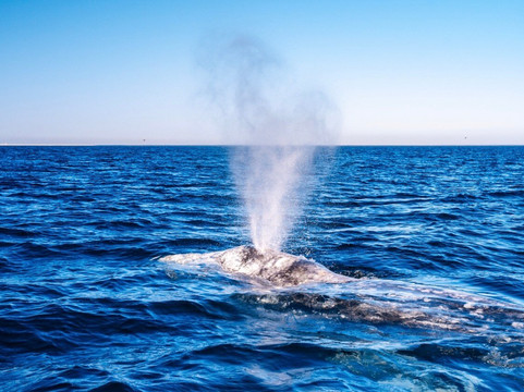 Murillos Bros Adventours-Puerto San Carlos必去景点