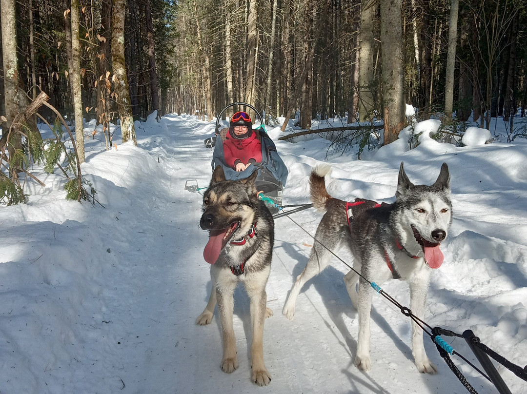 Les Aventures Liguoriennes-Saint-Liguori必去景点