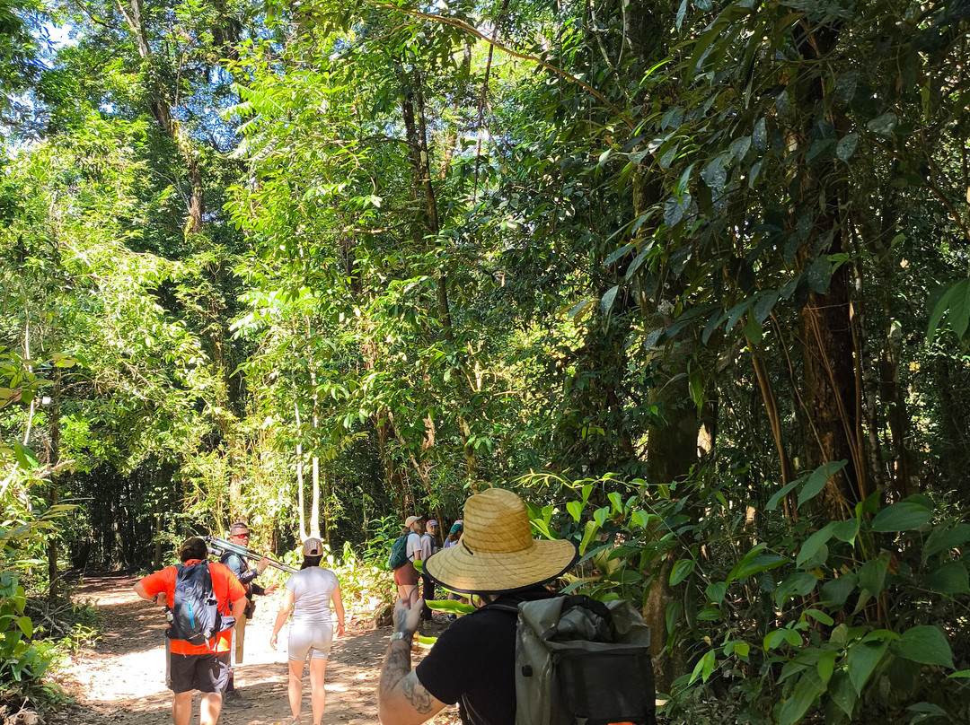 Jaguar Corcovado Tours-希门尼斯港必去景点