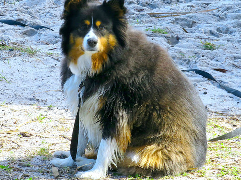 Rotary Park at Suntree-墨尔本必去景点