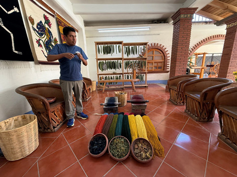 Luis Ramirez Tours-瓦哈卡必去景点