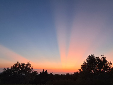 Podere Patrignone主图