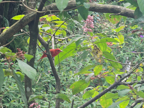 Dave & Dave's Costa Rica Nature Park-La Virgen必去景点