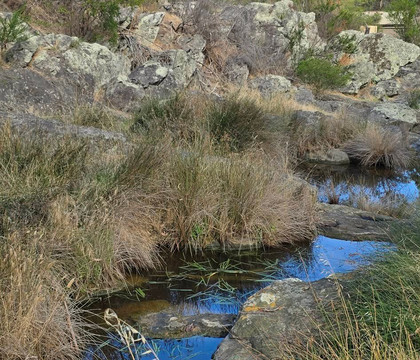 Waitpinga Farm Quad Bike Adventures-Waitpinga必去景点
