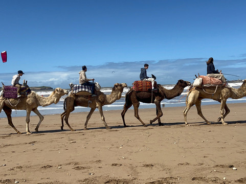 Yassmine Quad-索维拉必去景点