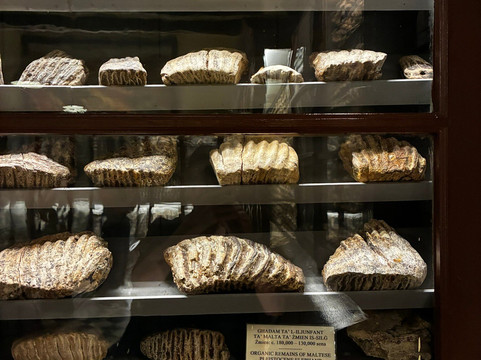 Ghar Dalam-Birzebbuga必去景点