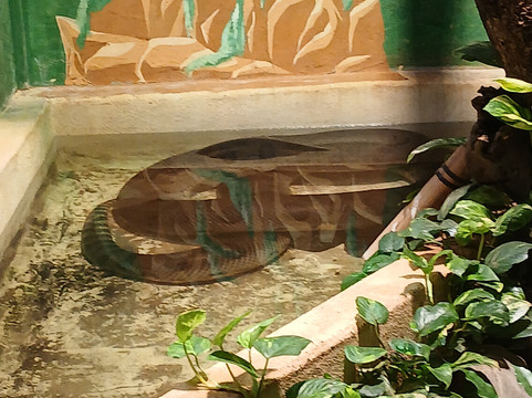 Exotic Park-Lescar必去景点