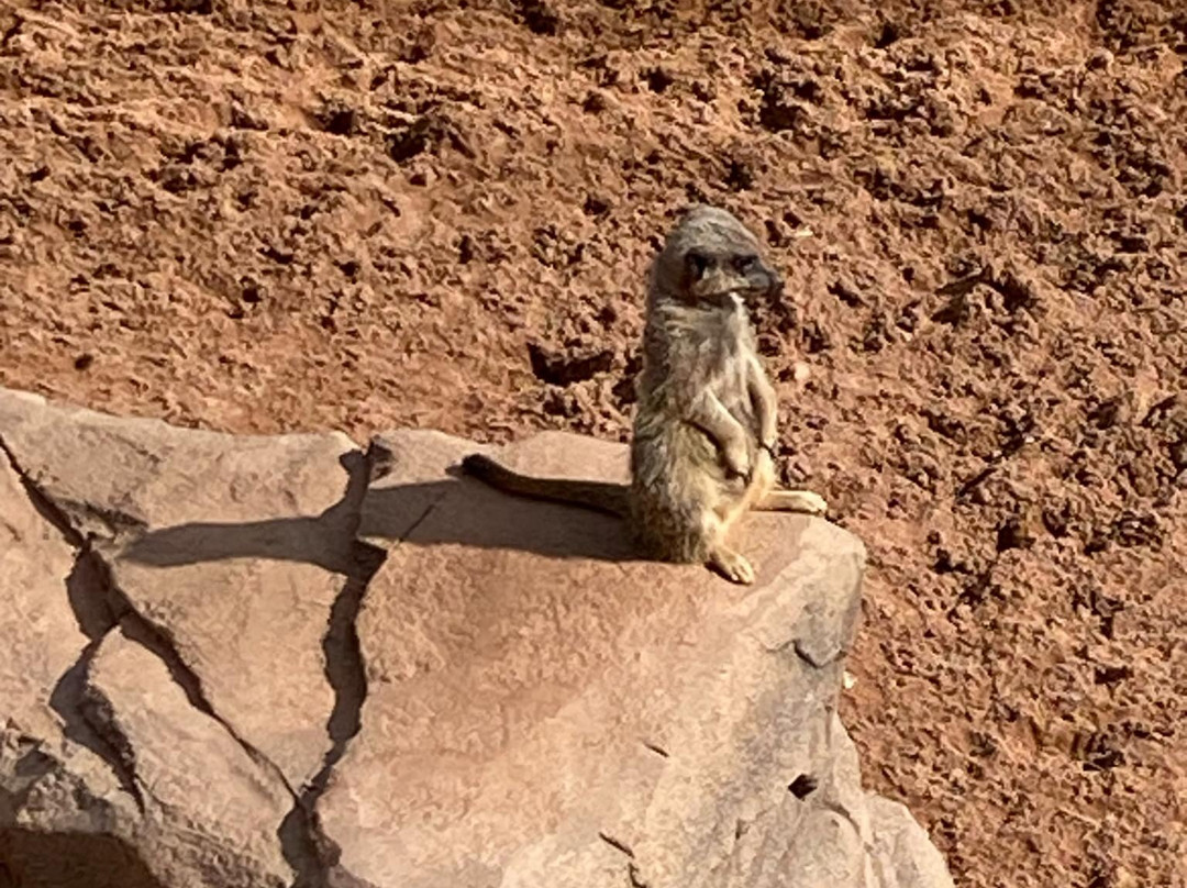 Dalscone Farm Fun-邓弗里斯必去景点