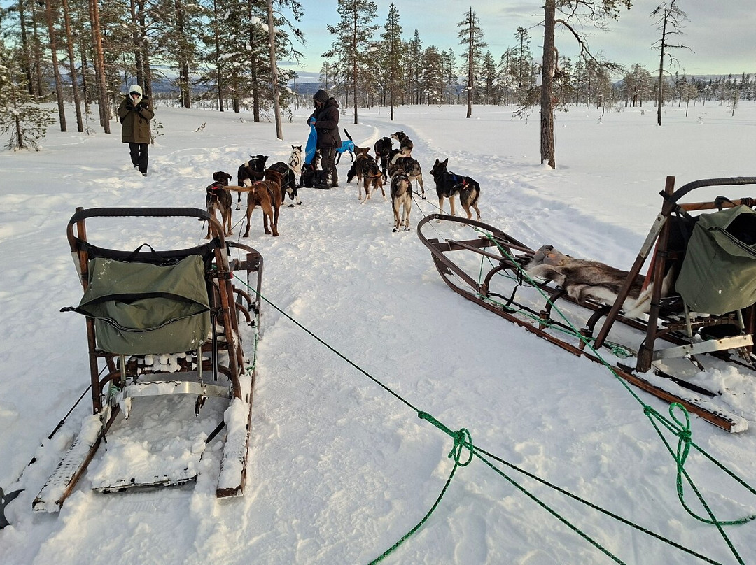 The Howling Dog Farm-Vemdalen必去景点