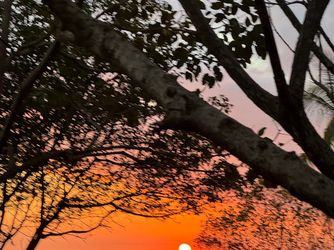 Oropopo Experience-Playa Avellanas必去景点