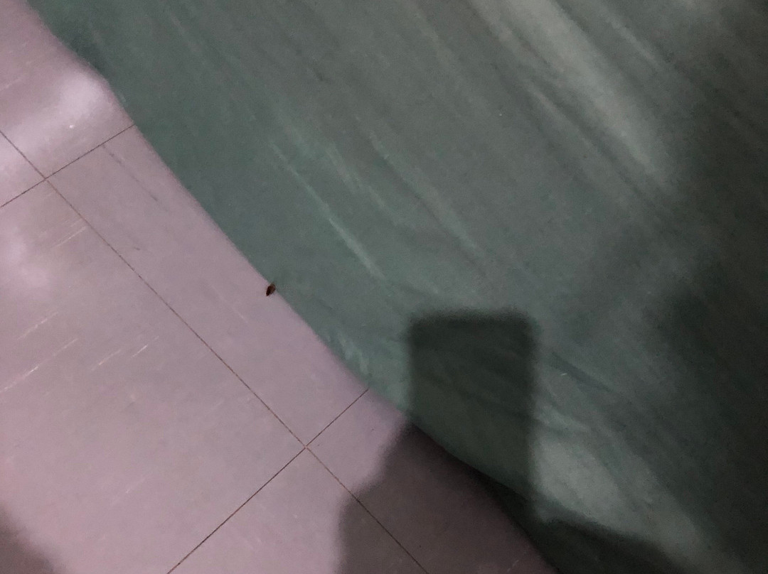 OYO 瑞得 1 号酒店主图