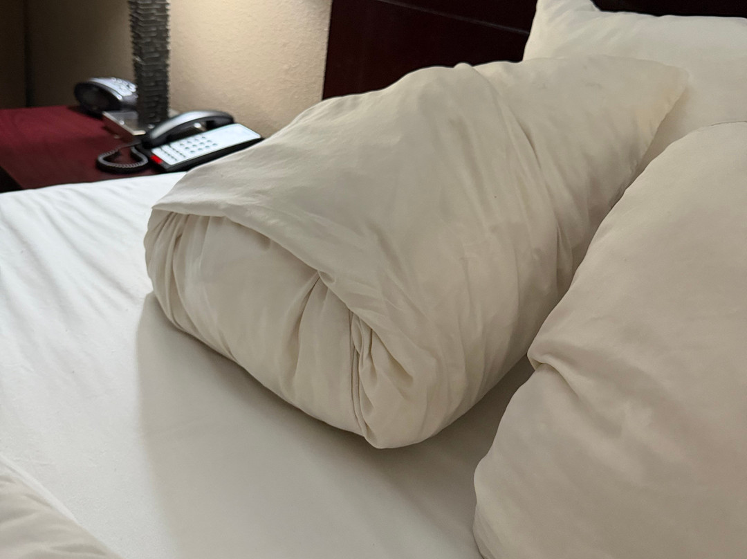 拉斯顿凯艺酒店主图