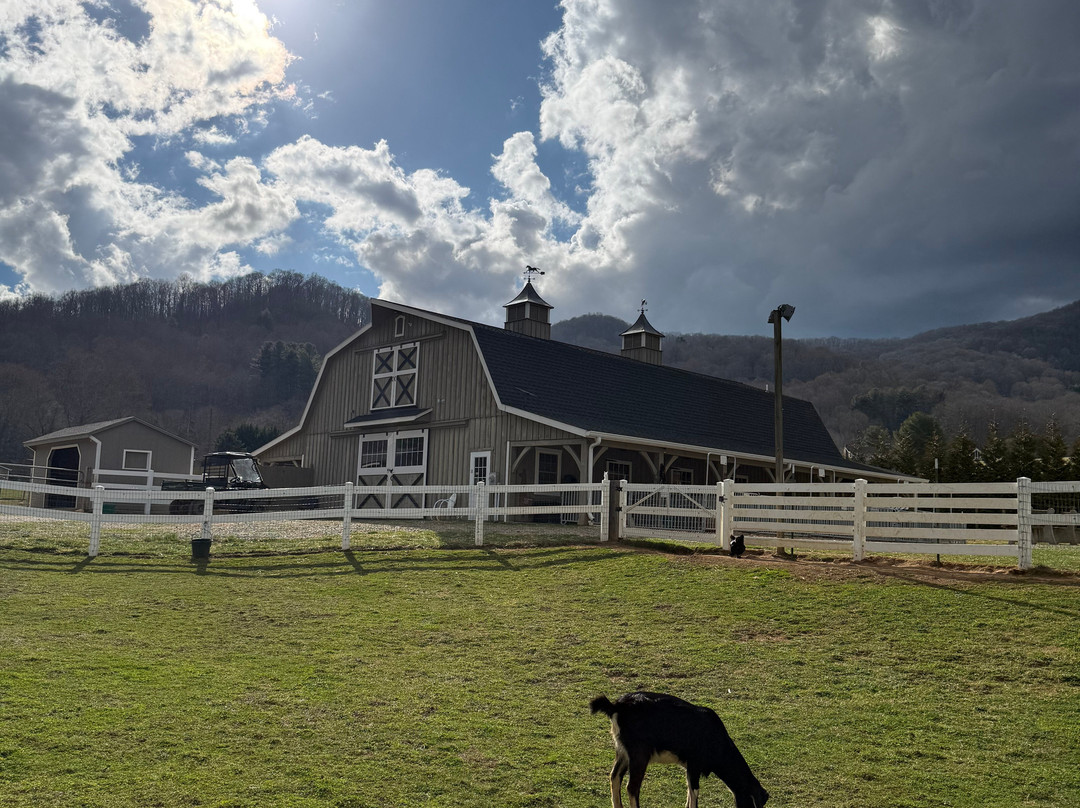 Winchester Creek Farm-韦恩斯维尔必去景点