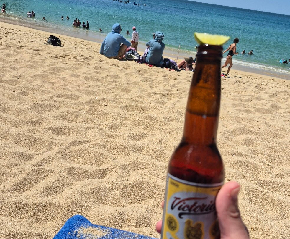 Playa Carrizalillo-埃斯孔迪多港必去景点