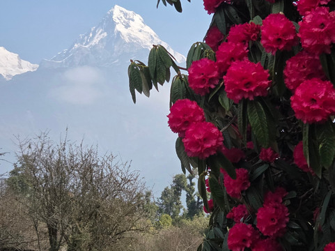 Nepal Alternative Treks & Expeditions-加德满都必去景点