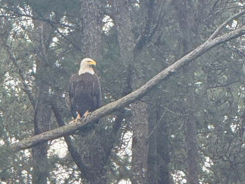 Bulls Island Ferry-Awendaw必去景点