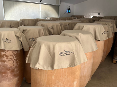 Casa Agrícola Pepe Mendoza-Lliber必去景点