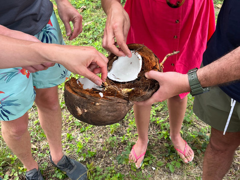 Finca Flora-Bocas del Toro必去景点