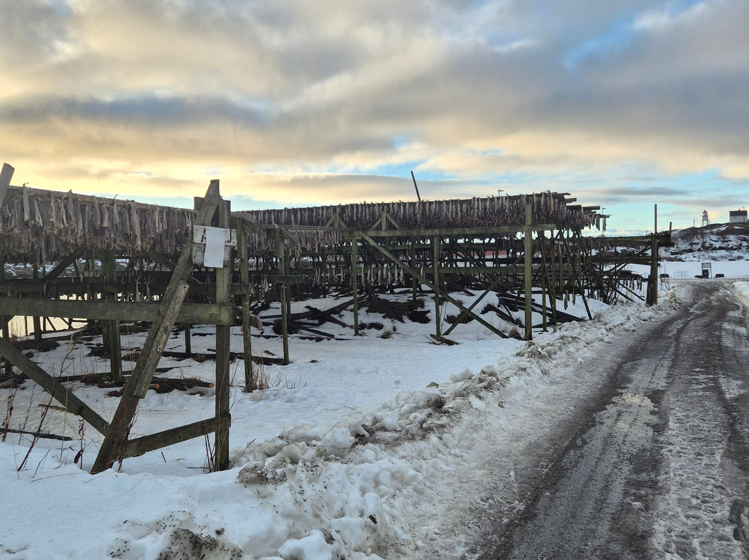 Henningsvaer-霍宁斯沃格必去景点