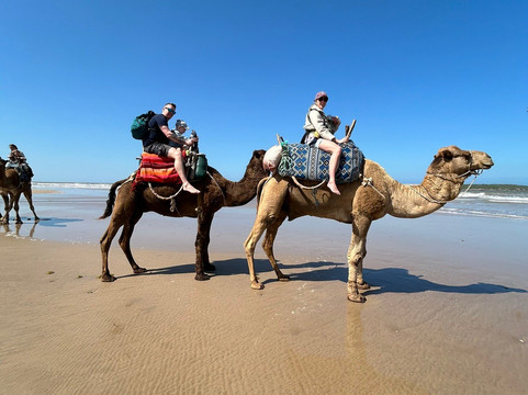 Essaouira Activités-索维拉必去景点