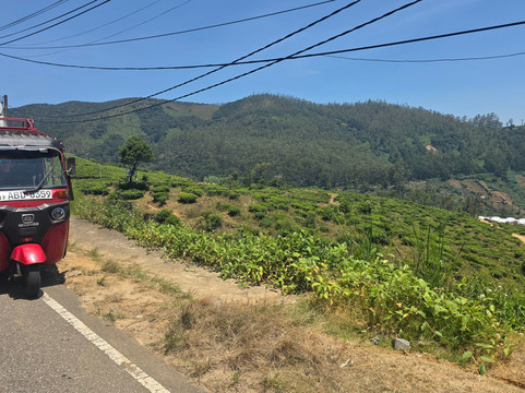 Tuk Tuk Rental Negombo-尼甘布必去景点