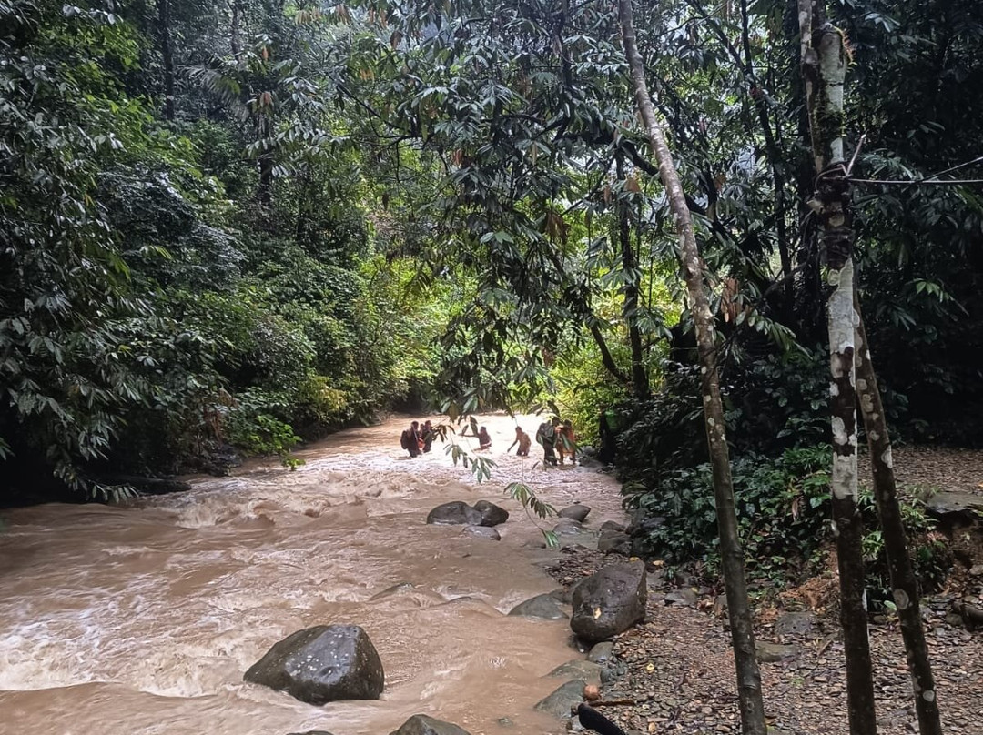 Trek of Sumatra-武吉拉旺必去景点