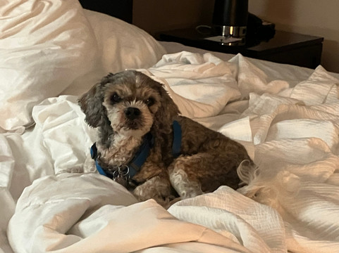 安哥拉蔚景温德姆酒店主图