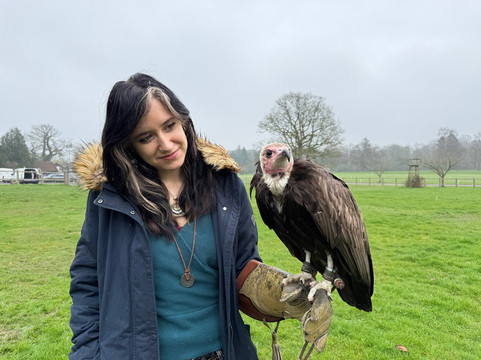 Surrey Hills Falconry-Ockley必去景点
