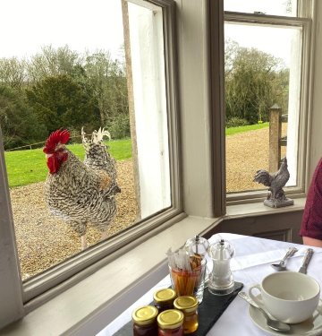 兰格里什之家-官方