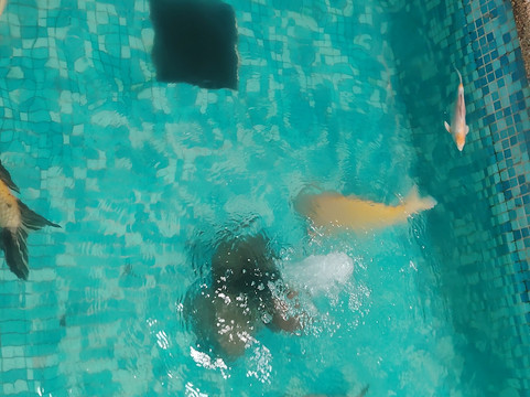 利多特帕拉瓜纳主图