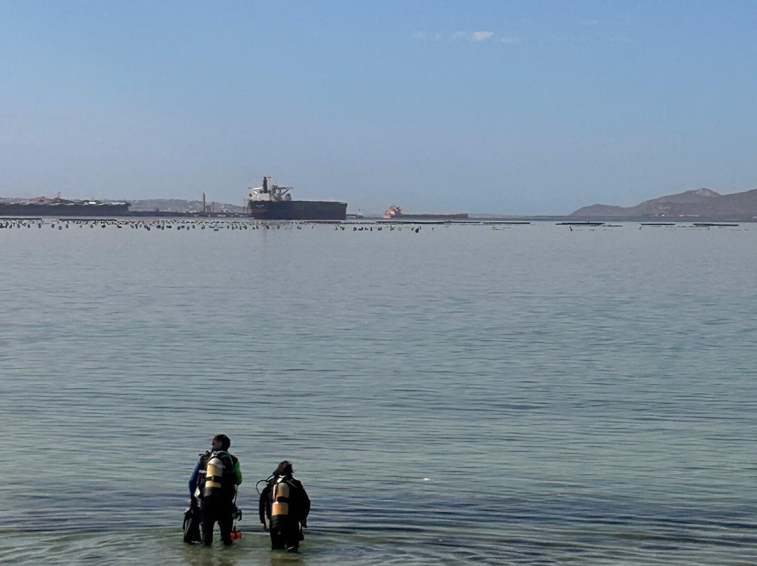 Langebaan divers-兰吉班必去景点