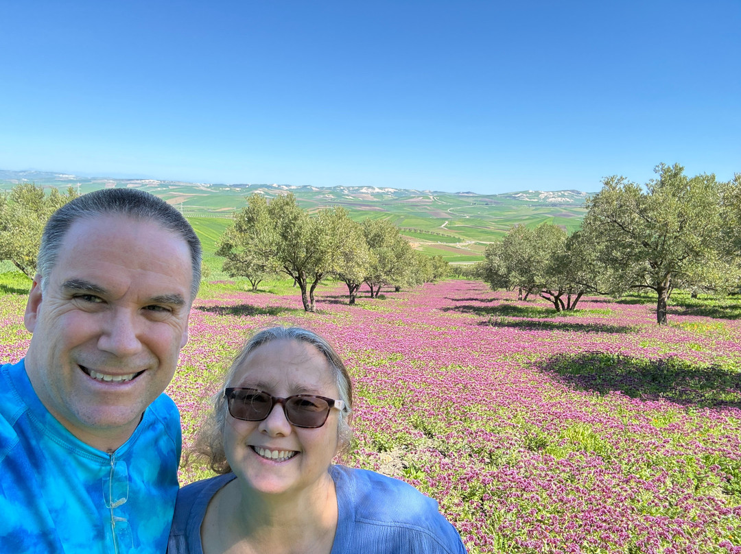 Morocco Easy Tours - Morocco Tours-马拉喀什必去景点